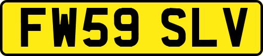 FW59SLV