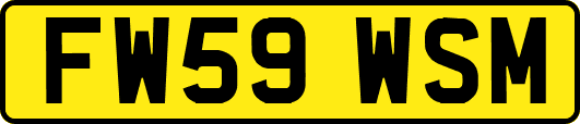FW59WSM