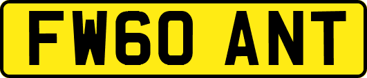 FW60ANT