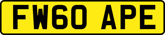 FW60APE