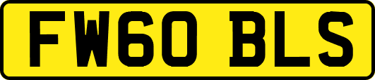 FW60BLS