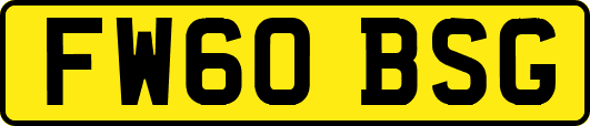 FW60BSG