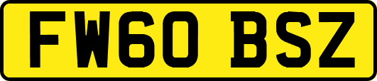 FW60BSZ