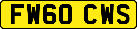 FW60CWS