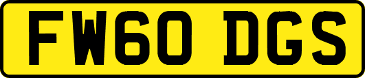 FW60DGS