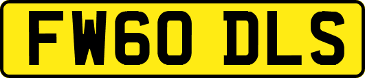 FW60DLS