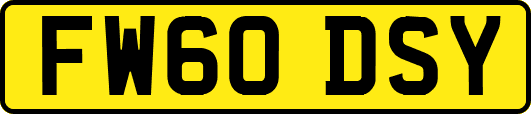 FW60DSY