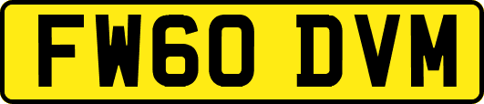 FW60DVM