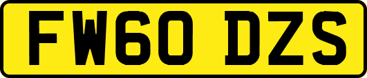 FW60DZS
