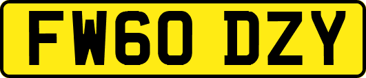 FW60DZY