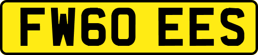FW60EES