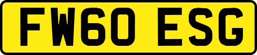 FW60ESG