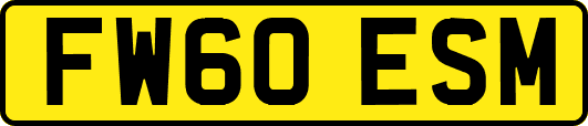 FW60ESM