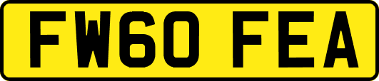 FW60FEA