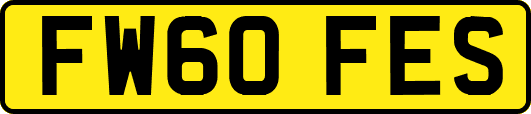 FW60FES