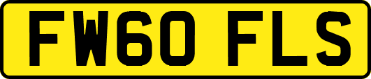 FW60FLS