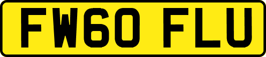 FW60FLU