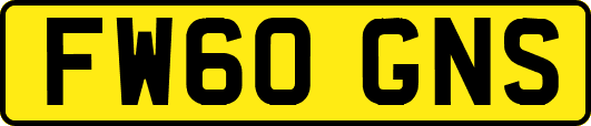 FW60GNS