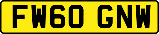 FW60GNW