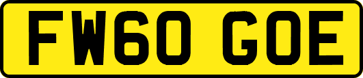 FW60GOE