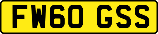 FW60GSS