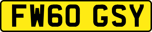 FW60GSY