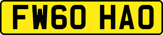 FW60HAO