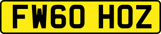 FW60HOZ