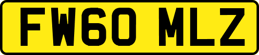 FW60MLZ