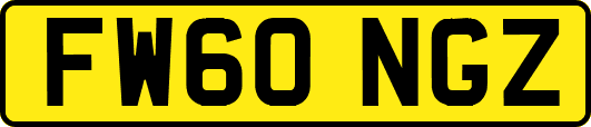 FW60NGZ