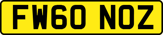 FW60NOZ