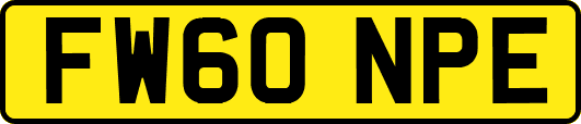 FW60NPE