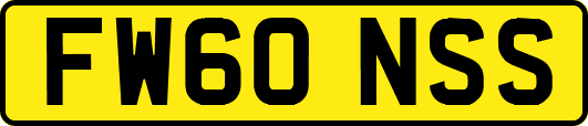 FW60NSS