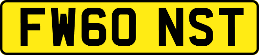 FW60NST