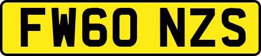 FW60NZS