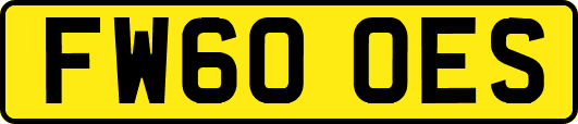FW60OES