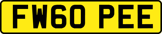 FW60PEE