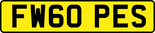 FW60PES