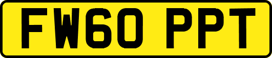FW60PPT
