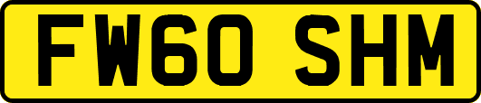 FW60SHM