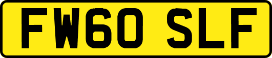 FW60SLF