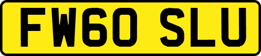 FW60SLU