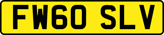 FW60SLV