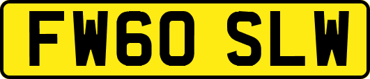 FW60SLW