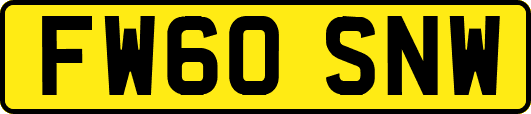 FW60SNW