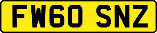 FW60SNZ