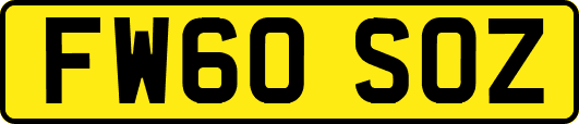 FW60SOZ