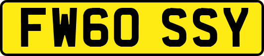 FW60SSY