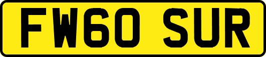 FW60SUR