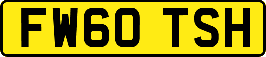FW60TSH
